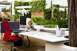 A Guide to Green Office Design