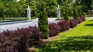 Landscape Construction and Hire Great Contractors Services in Sydney