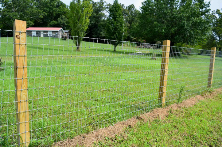Woven Wire Fences