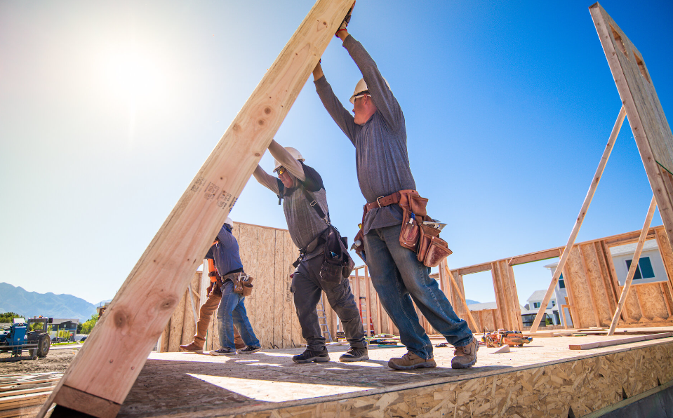 builders in Auckland Central