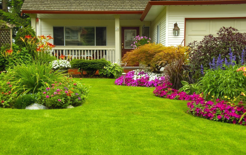 garden design in Christchurch