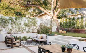 Elevating Spaces: Garden Design in Christchurch